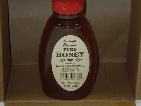 Doan's Honey Farm- Orange Blossom Pure Honey (16oz.) Bottle
